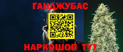 прущие грибы Гусев