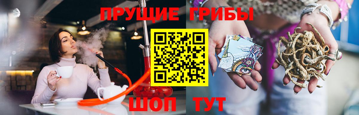 Галлюциногенные грибы Magic Shrooms Касимов