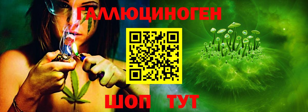 купить наркотик  Вход с VPN  Касимов  Галлюциногенные грибы MAGIC MUSHROOMS 